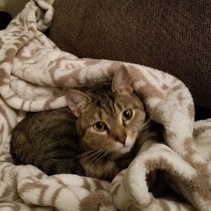 Meet your Posher, Jillian